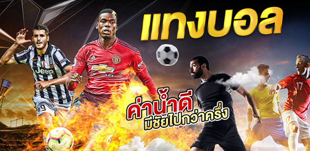 แทงบอล ยังไง ให้รวย